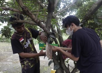 Peserta Jambore Sarjana LDII 2022 sedang memberi nama tanaman pohon sebagai wahana wisata di Permata Buana