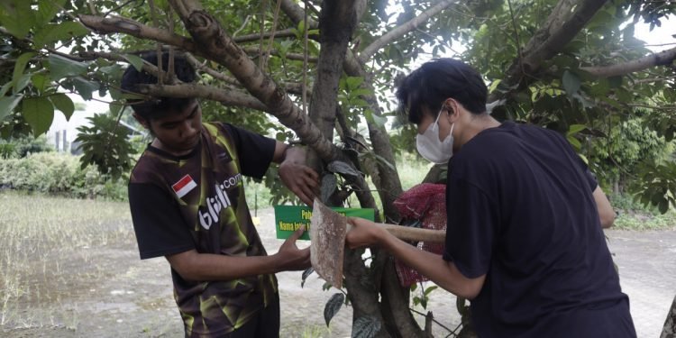 Peserta Jambore Sarjana LDII 2022 sedang memberi nama tanaman pohon sebagai wahana wisata di Permata Buana