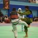 Salah satu penampilan pesilat Persinas Asad Kutim.(LINES)