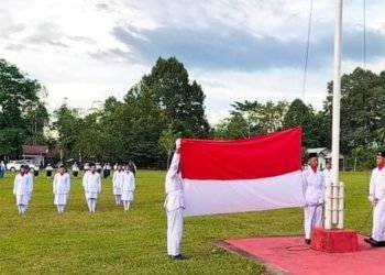 Manokwari ldii