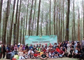 Sulsel