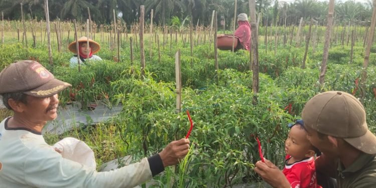 Petani LDII Kalbar. (LINESKalbar).
